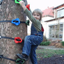 Load image into Gallery viewer, KiddoClimb™️ - Rock Climbing kit