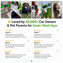 Load image into Gallery viewer, CarJet Pro™