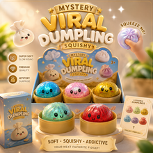 Load image into Gallery viewer, Mystery Viral Dumpling Squishy