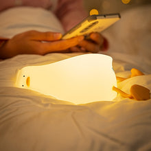 Load image into Gallery viewer, QuackyColin™️ - The Original Squishy Light