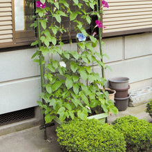 Load image into Gallery viewer, Garden Fence Netting