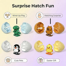 Load image into Gallery viewer, Hatch &amp; Dash™ - Surprise Easter Eggs
