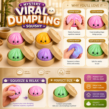 Load image into Gallery viewer, Mystery Viral Dumpling Squishy
